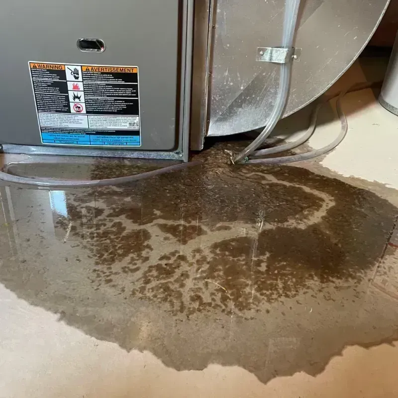 Appliance Leak Cleanup in Shelby County, MO